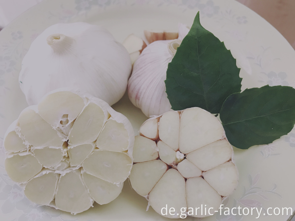 High Quality Wholesale Custom Cheap garlic